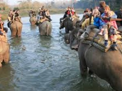 Lets Travel in Chitwan, Nepal